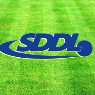 Voorbeschouwing SDDL 1 – NLC ’01