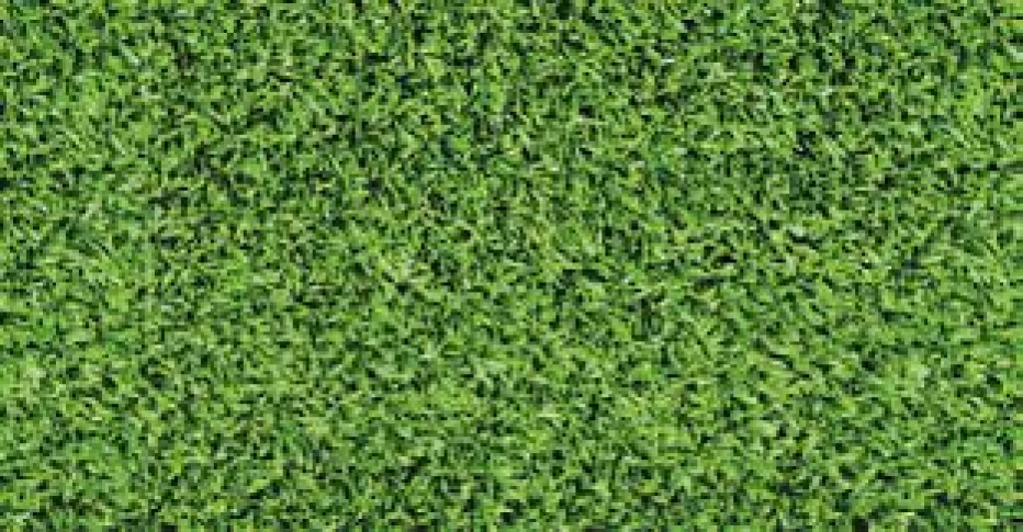 SDDL 1 – MILSBEEK 1 GAAT DOOR