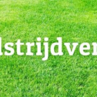 Hardwerkend SDDL pakt punt tegen SES